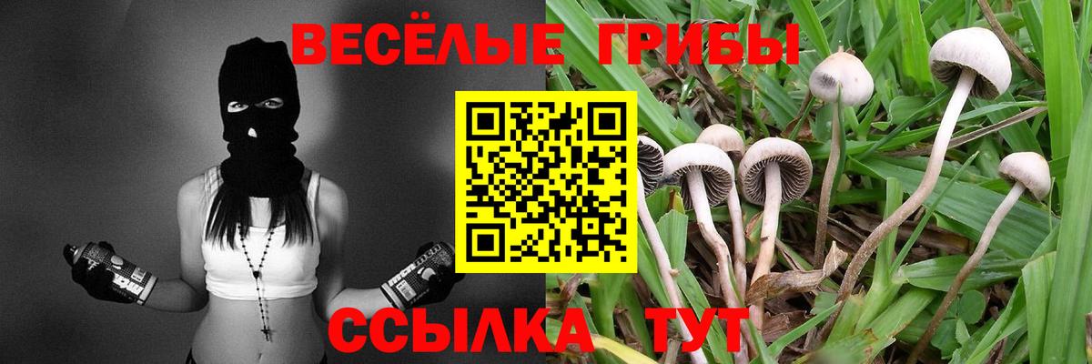 Галлюциногенные грибы ЛСД Кандалакша